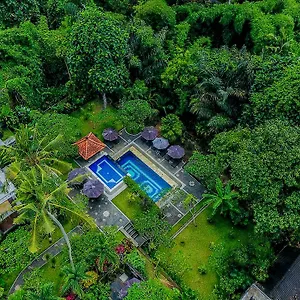 Alas Petulu And Ubud
