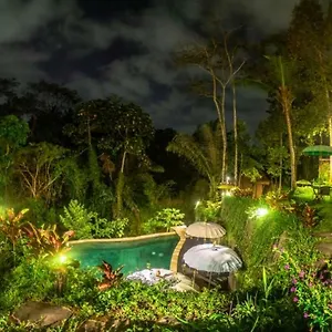 The Jungle Willa